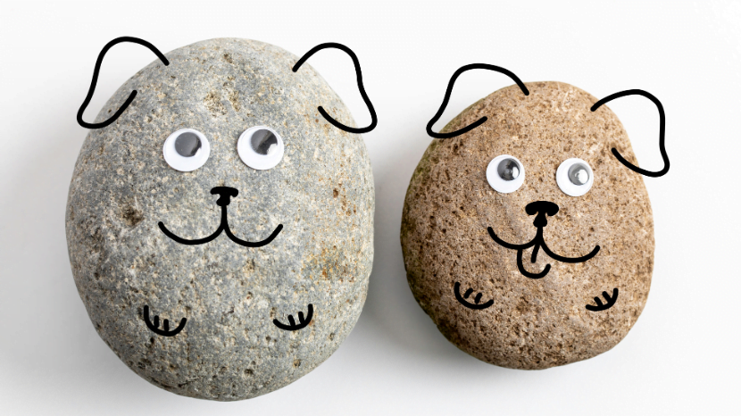 Pet rock day