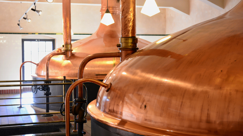 The Science of Beer: Understanding the Brewing Process | Mindsnakk science of beer 4